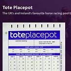 what is a placepot bet